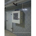 China panels  blast freezer 100mm 120mm 150mm 200mm cold room for meat